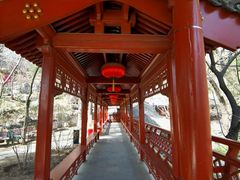 -大觉寺-停车场