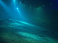 -白鹤梁水下博物馆