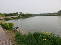 -东郊湿地公园