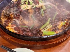 -老板恋上鱼(高新万达店)