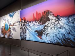 -罗红摄影艺术馆