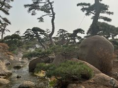 -罗红摄影艺术馆