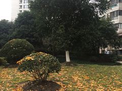 -新湖明珠城