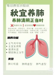 -香薇妮丝女子减肥院