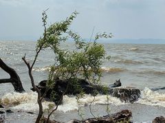 -捞渔河湿地公园