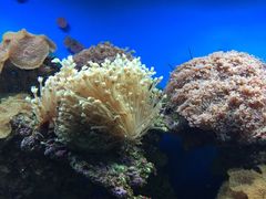 iphone_upload_pic-御唐府海珊瑚主题餐厅