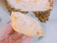 -都念榴莲·城市榴莲