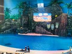 -珠海长隆海洋王国