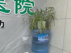 -半岛宠物医院24小时(白果林店)