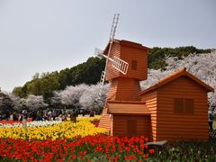 -苏州上方山国家森林公园
