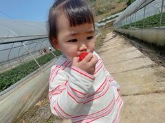 -普迪生态园