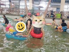 -南宫温泉水世界