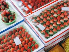 -锦绣大地生鲜食品厅(巨山路店)