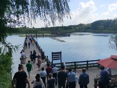 -溱湖国家湿地公园