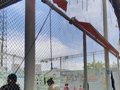 -飞梦少儿足球培训(塘桥校区)