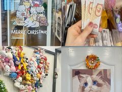 -有喵·猫咖·狗咖·30几只猫10只小狗(岗厦店)
