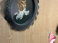 -MOCHA明星猫咖(田子坊店)