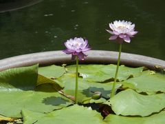 -石峰岩寺