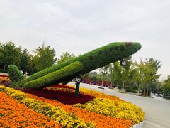 -大兴滨河森林公园