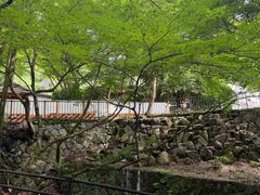 -三千院