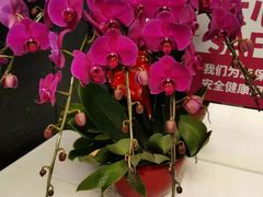 -106餐厅(山水文园店)