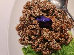 -海派美食·家宴海鲜青岛菜·石锅鲽鱼头(东方城店)