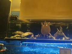 -衢农会·衢州菜·宴请(国际机场店)