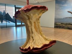 -旧金山现代艺术博物馆