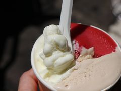 -Dip in Gelato(富民路店)