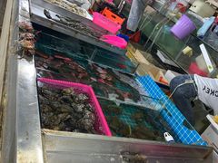 -三亚新鸿港水果一级批发市场