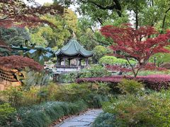 -申粤轩酒楼·三十年粤菜经典(丁香花园店)