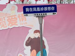 -北京凤凰岭