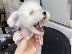 -PETKIT小佩宠物(昭化店)
