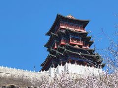 -定都阁