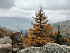 -芦芽山旅游度假区