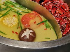 小熊鸳鸯锅-红辣椒·川菜·火锅(张杨路店)