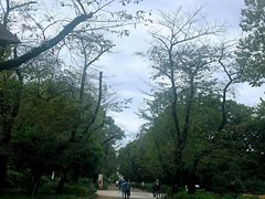 -东京国立博物馆