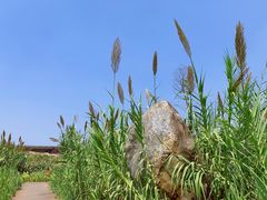 -那考河湿地公园