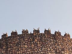 -J Create城市露营咖啡·简餐·宠物(上海动物园店)