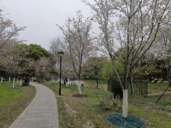 -堤角公园