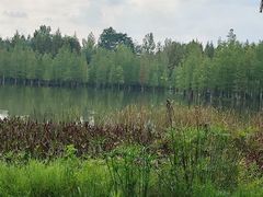-白鹭湾湿地公园