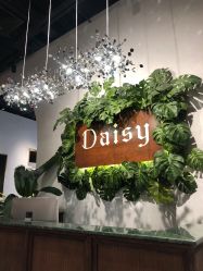 -Daisy Beauty lab日式美甲美睫
