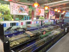 水产区-勝記酒家·37年老字号·经典粤菜(荔枝公园店)