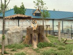 -龙口动植物园