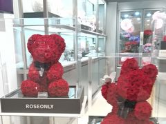 -ROSEONLY诺誓(广州K11店)