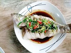 -大班家政月嫂育儿嫂(深圳NO.1店)