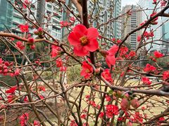 -西北湖绿化广场