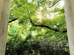 -湖北美术学院(昙华林校区)