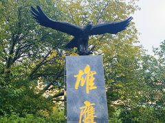 -南京老山国家森林公园