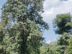 -阿哈湖国家湿地公园